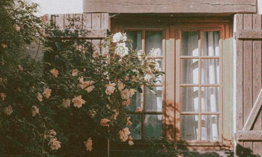 Ροπωτό: Ένα χωριό - φάντασμα στα Τρίκαλα που βουλιάζει (βίντεο)